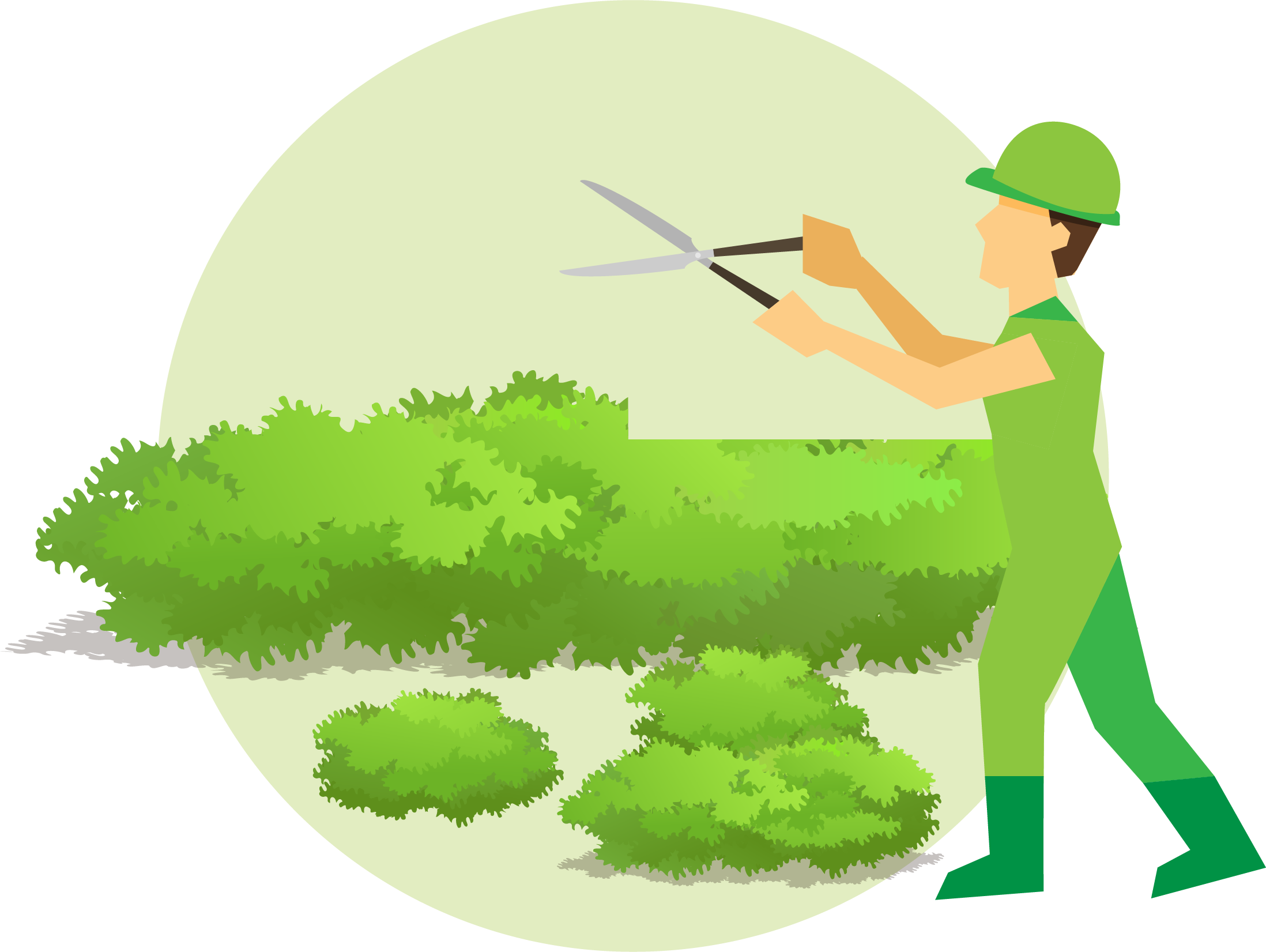 Hedge Trimming - Illustration (2196x1651)