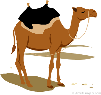 Camel - Ooth - Clipart Kameel (350x350)