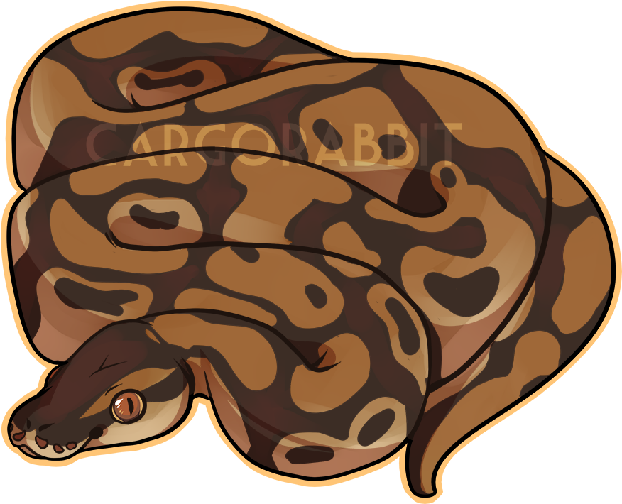 Ball Python Clipart Orange - Ball Python Cartoon (1000x1000)