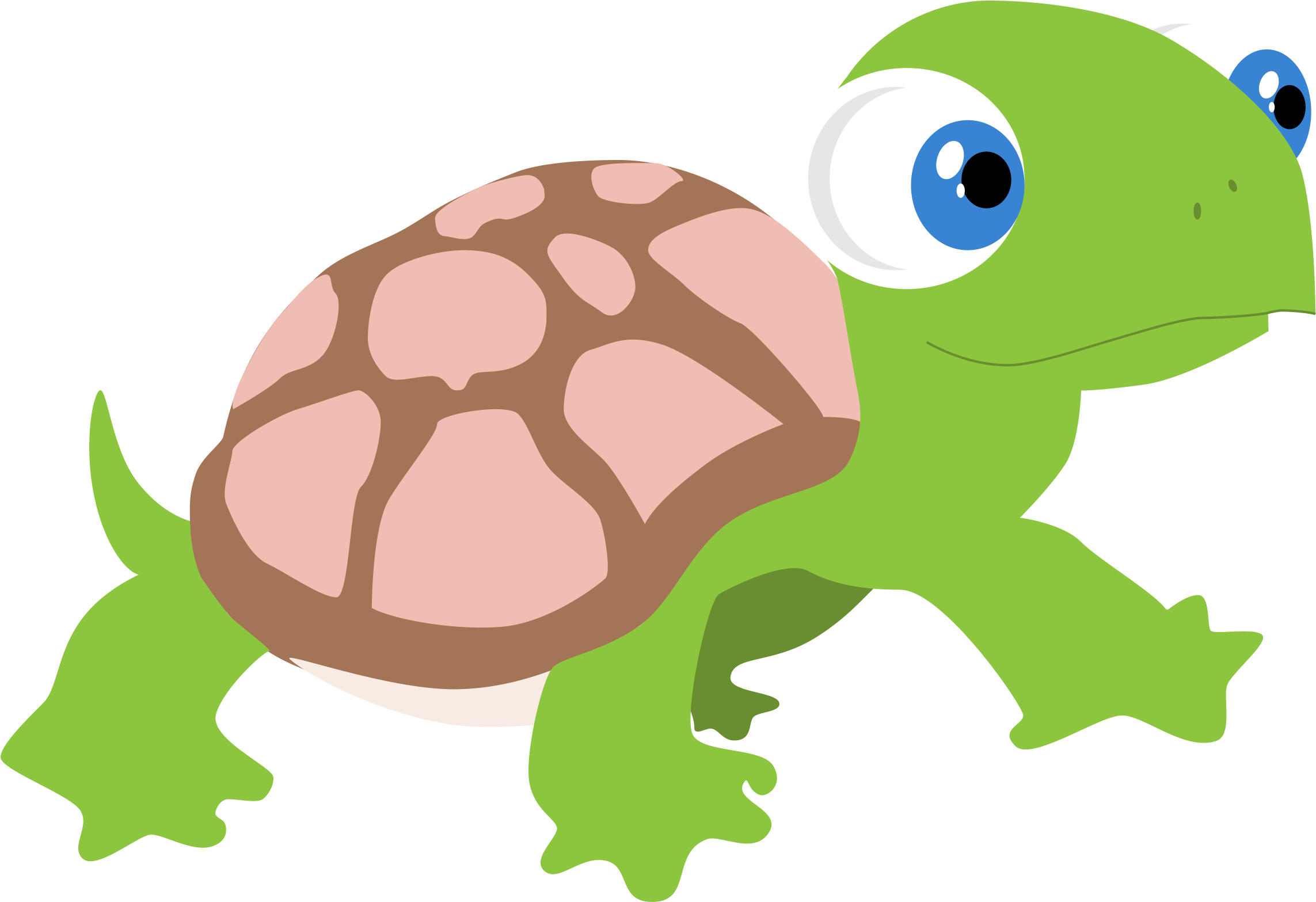 Turtle (2309x1570)
