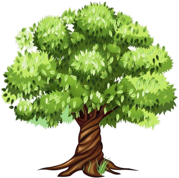 Trees ‿✿⁀°••○ - Tree Clipart (600x591)