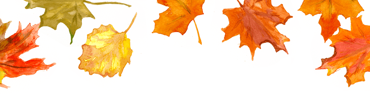 Fall Leaves - Autumn Leaf Color (1200x306)