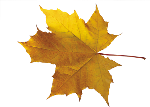 Clip Art (500x375)