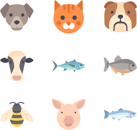 Animals Png (600x564)