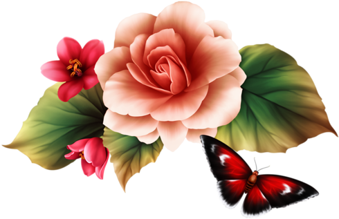 Album - Clip Art (500x323)