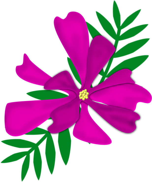 Hebergeur D Image - Hebergeur D Image (726x813)