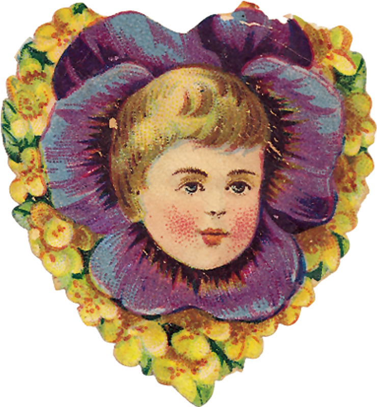 Zibi Vintage Scrap - Scrap (740x800)
