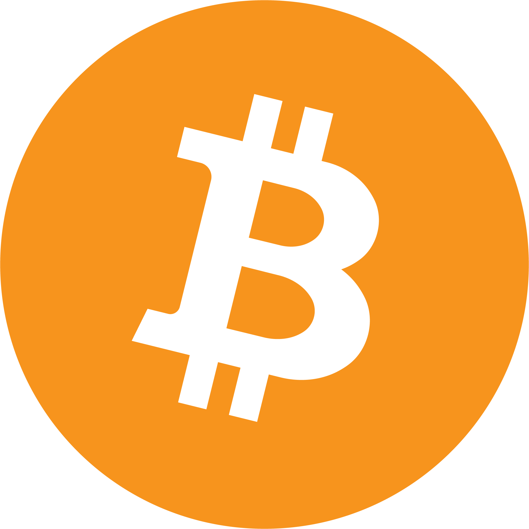 Completed Bitcoin Logo - Bitcoin Svg (2046x2046)