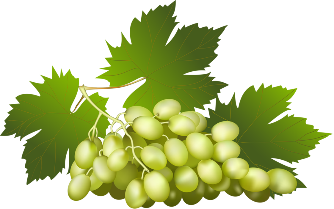 Vegetables, Clip Art, Veggies, Illustrations - Grapes Vector (1123x703)