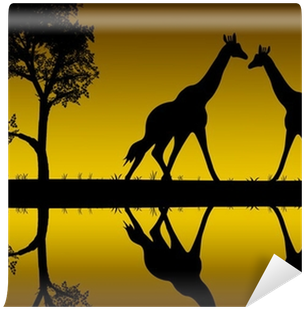 Window (400x400)