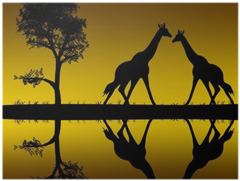 Silhouette (400x400)