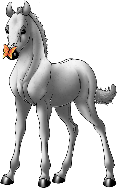 Andalusian - Horse (500x662)