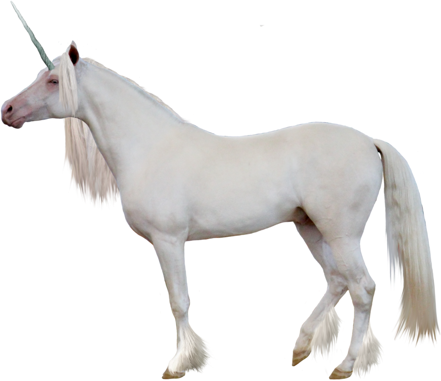 White Unicorn Transparent Background (1024x791)
