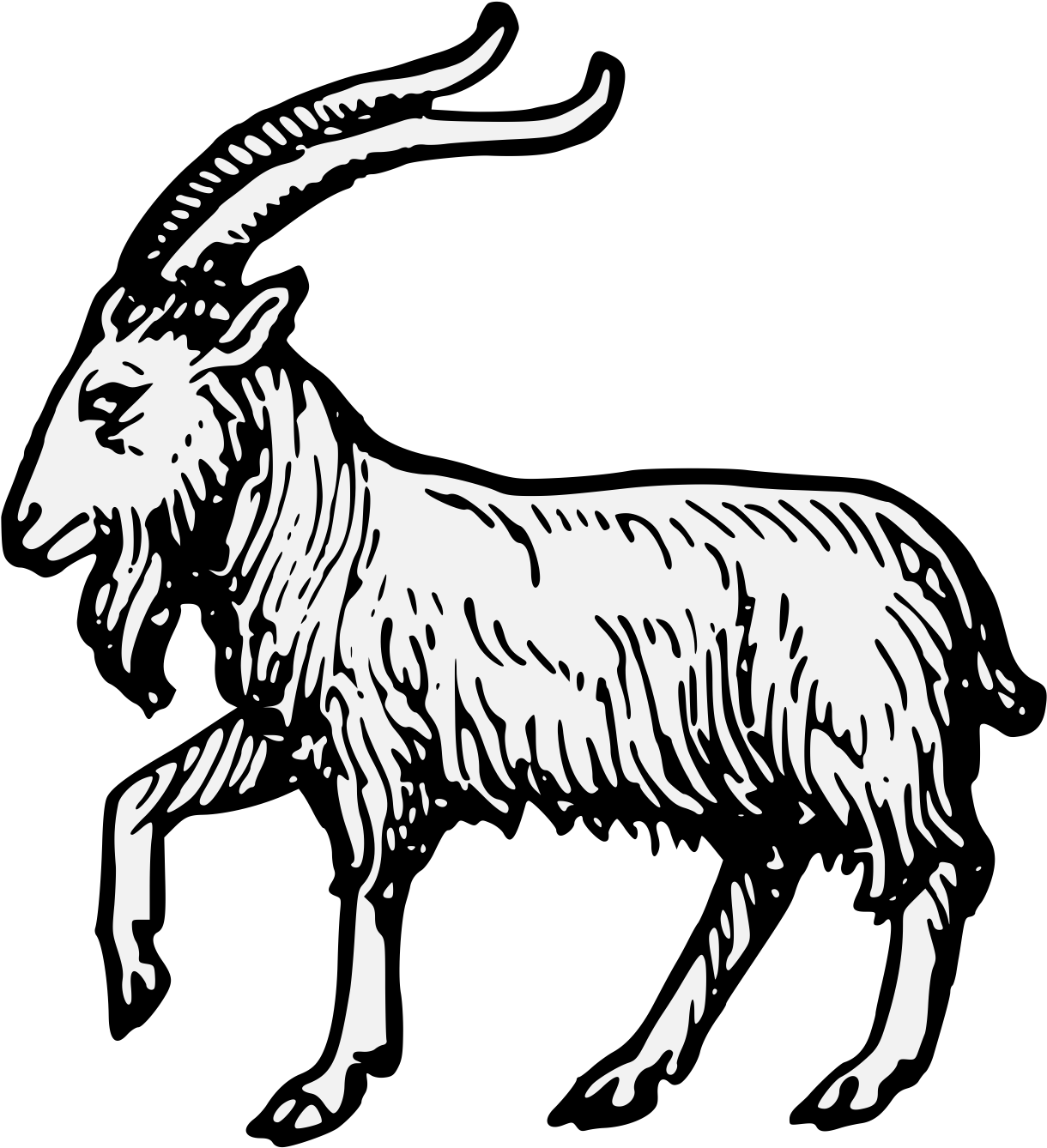 Pdf - Goat (1237x1355)