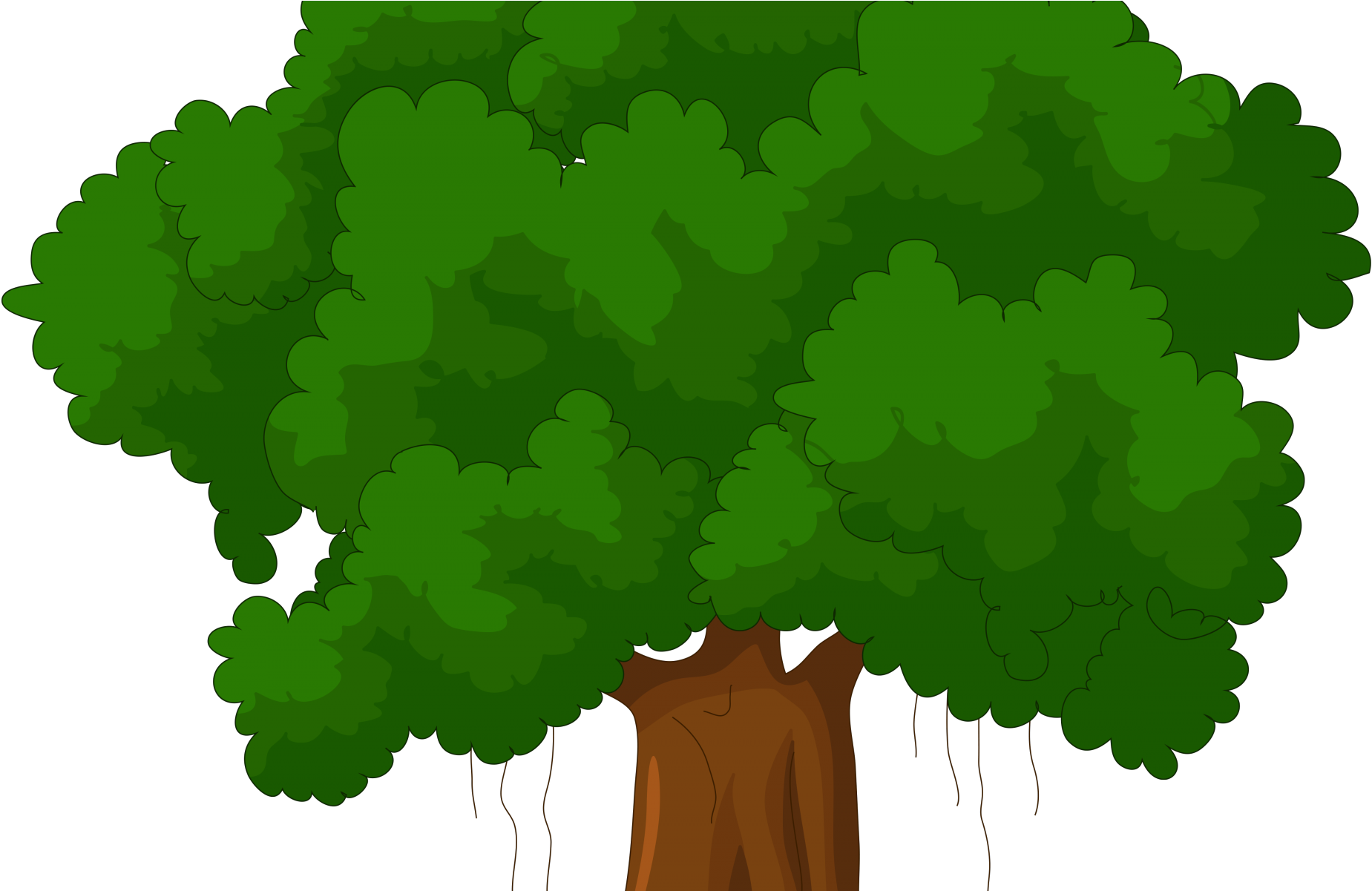 Cartoon Transparent Tree Top (1920x1200)