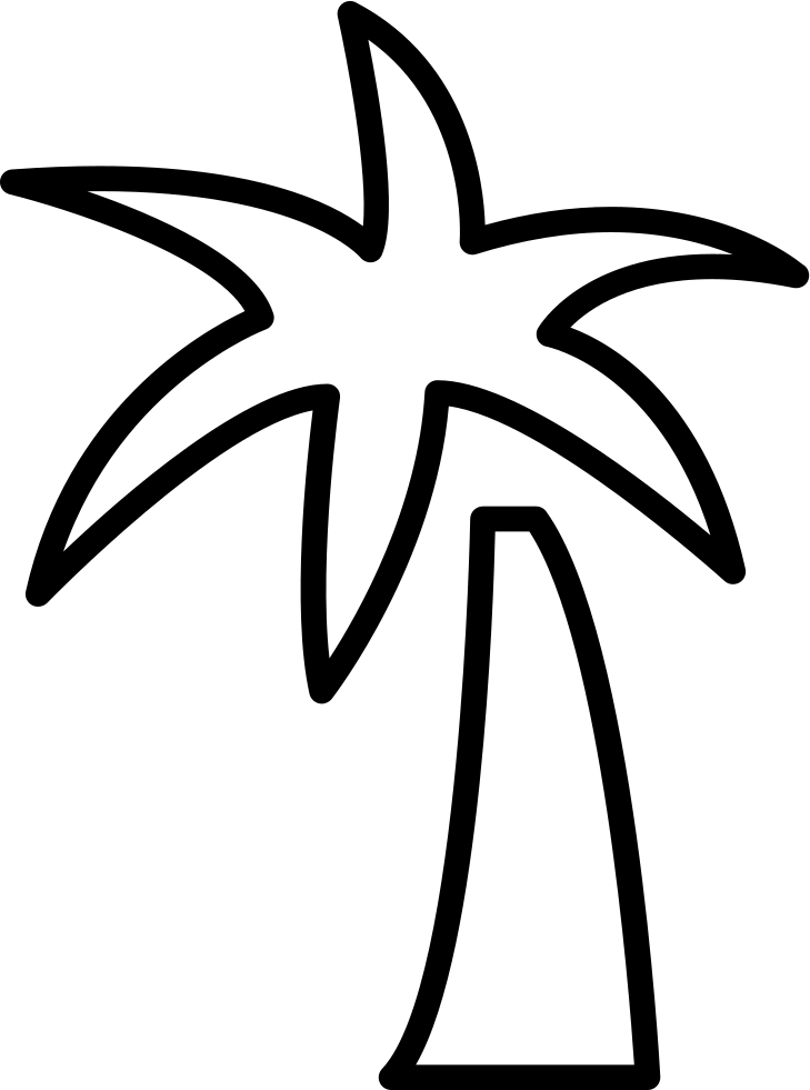 Tropical Tree Comments - Palm Trees (729x981)