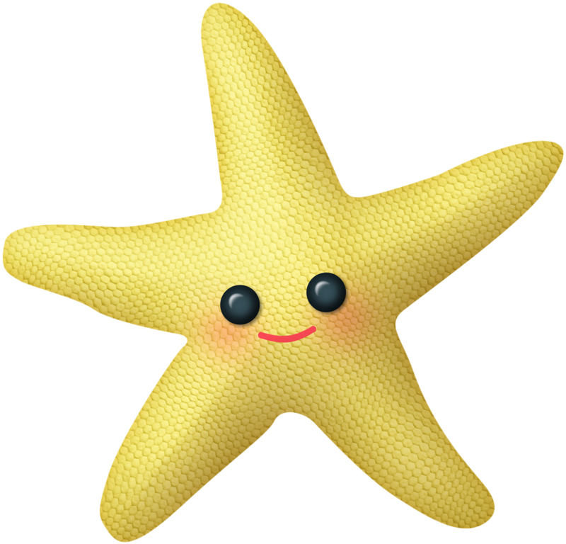 Яндекс - Фотки - Starfish (800x768)