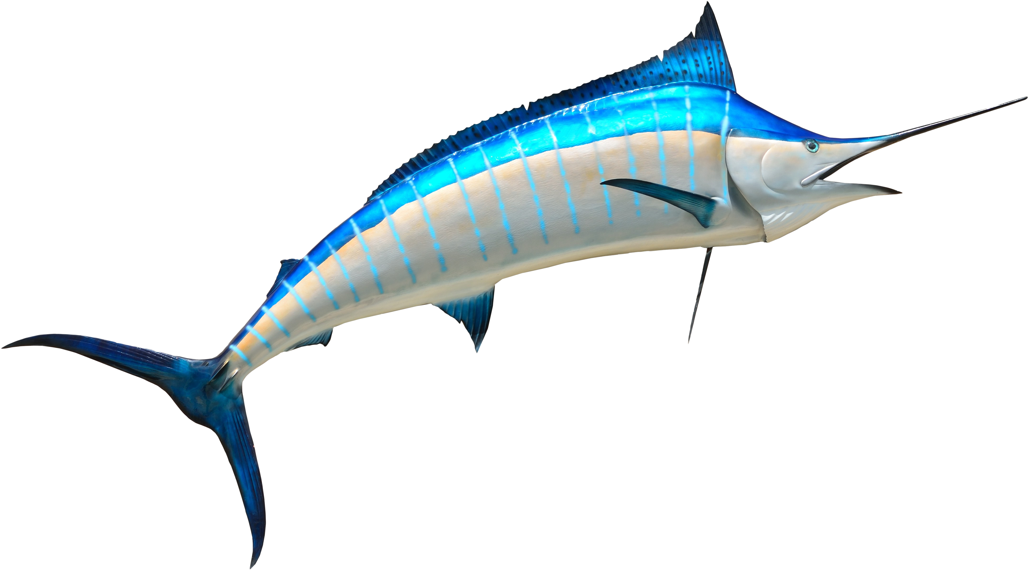 Swordfish Png (3626x2082)