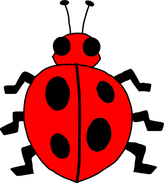 Ladybug Lady Bug Clip Art - Bug Clip Art (534x596)