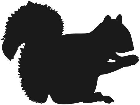 Squirrel Silhouette - Squirrel (512x512)