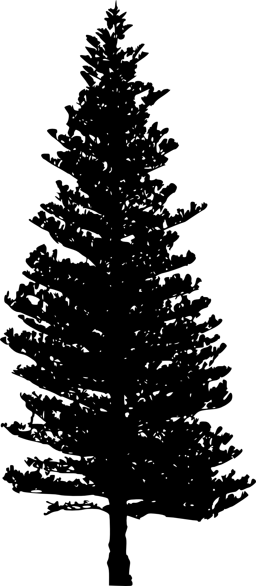 10 Pine Tree Silhouette - Tree (875x2000)