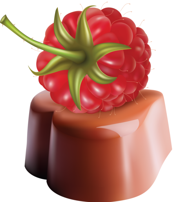 Малина Клипарт (600x697)