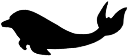 A Crack At A Dolphin - Whale (605x306)