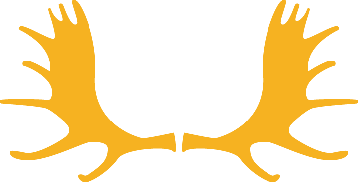 Deli & Pub - Cutline Craft Antlers Animals Deer Style 6511, Craft (720x367)