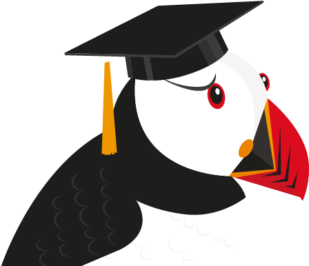 Puffin Browser (454x385)