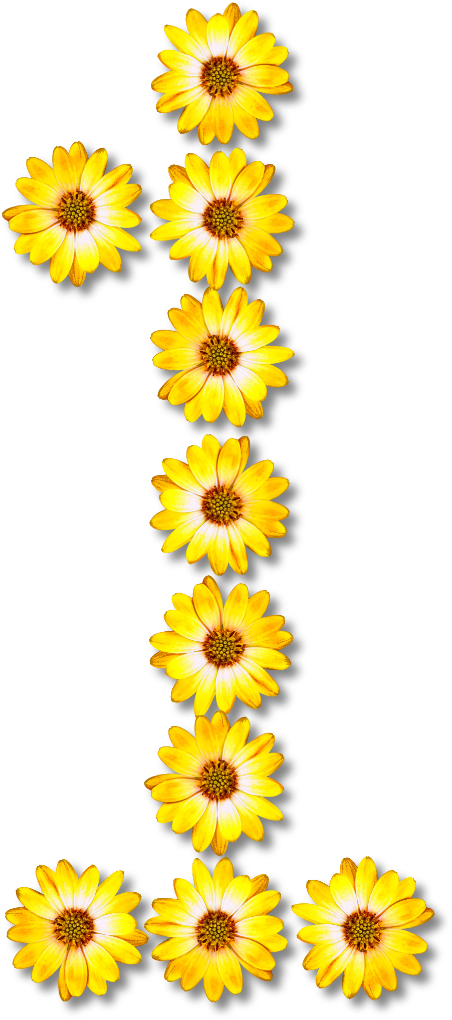 Big Image - Number (1717x2400)