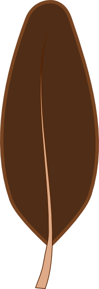 Brown Feather Clipart - Chocolate (204x593)
