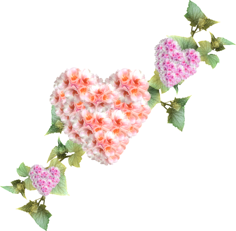 Roses Hearts - Wedding (800x785)