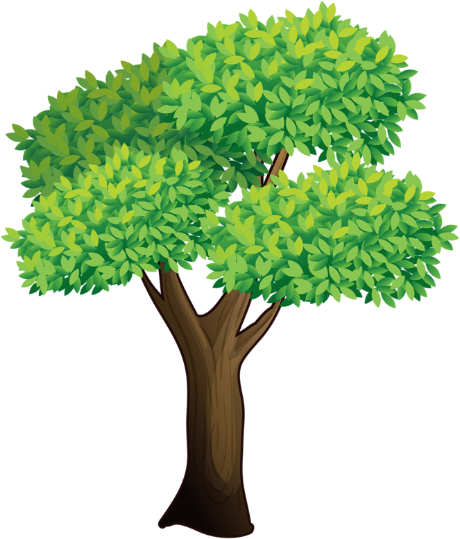 2 - Clipart ต้นไม้ (700x800)