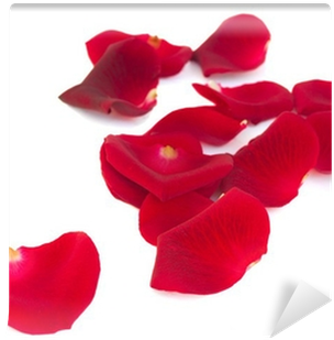 Red (400x400)