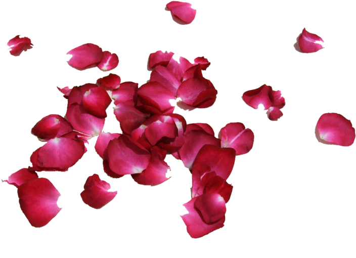 Share This Image - Rose (750x600)