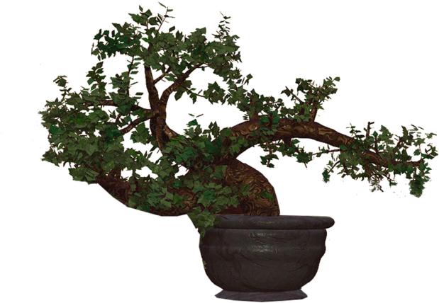 Bonsai - Bonsai (800x600)