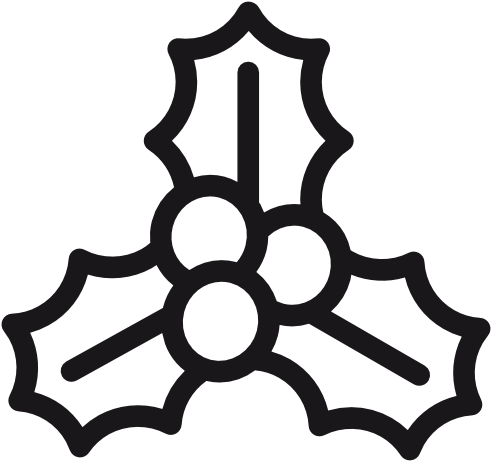 Mistletoe Icon - Mistletoe Icon (512x512)