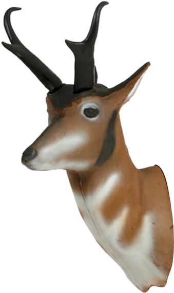 Delta Mckenzie - Delta Mckenzie Pinnacle Pronghorn Antelope 3-d Archery (600x600)