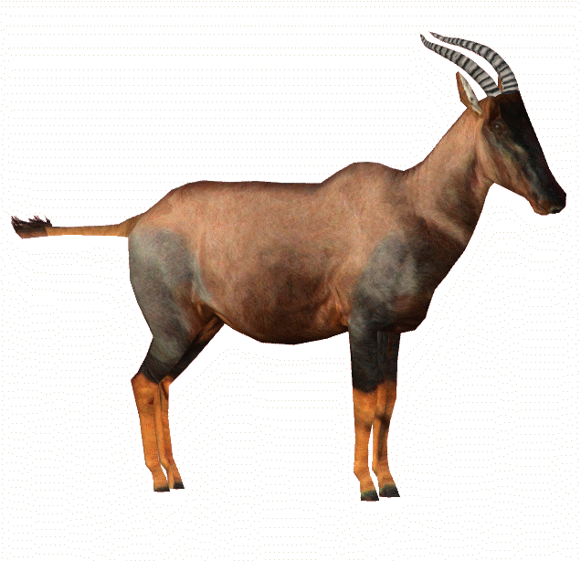 Topiamf - Topi (643x643)