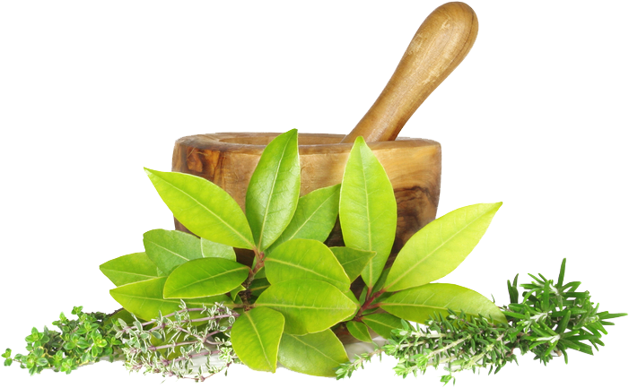 Motar - Ayurvedic Sign (744x494)