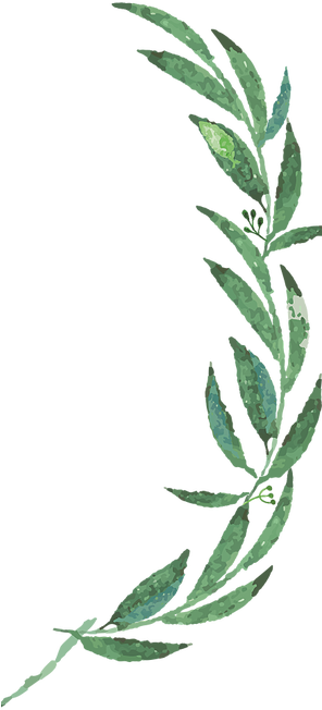 Mckenzie Botanicals - Wedding (295x659)