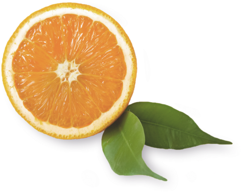 Clementine (600x600)