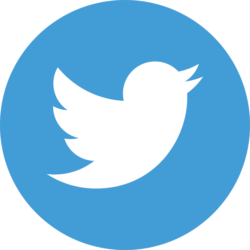 Twitter Icon Flat Circle (899x897)
