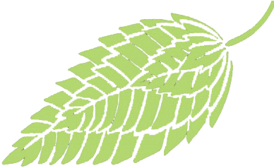 Fern (388x388)