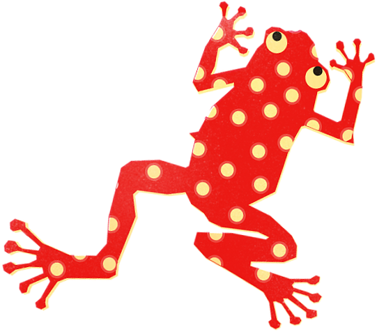 We - Frog (786x531)