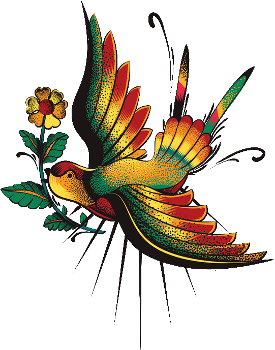 Bird (541x689)