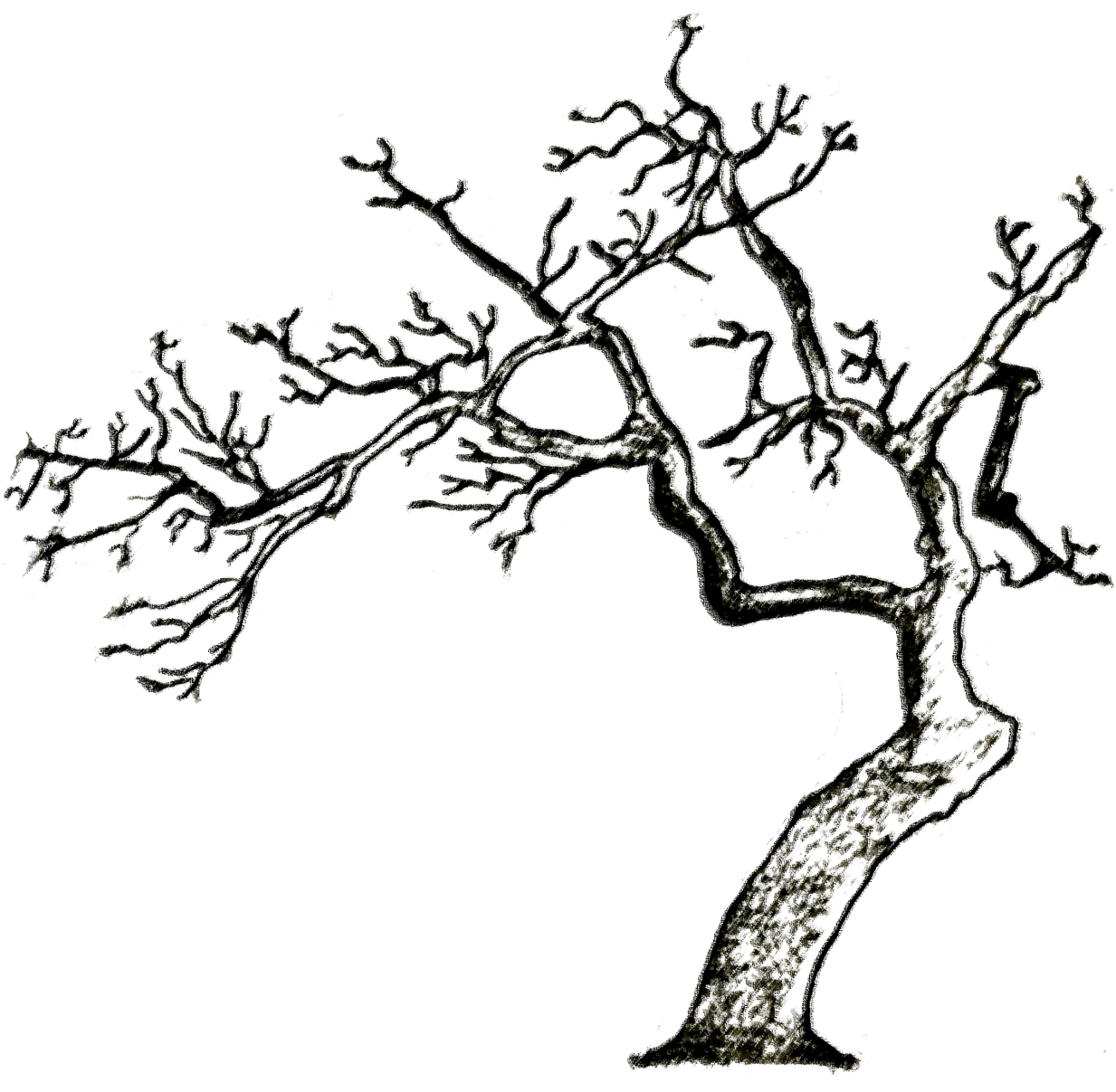 Dead Trees - Line Art (1280x1326)