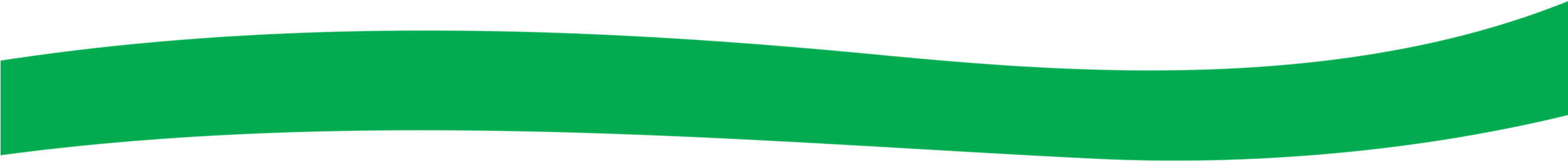 Flag (2507x283)