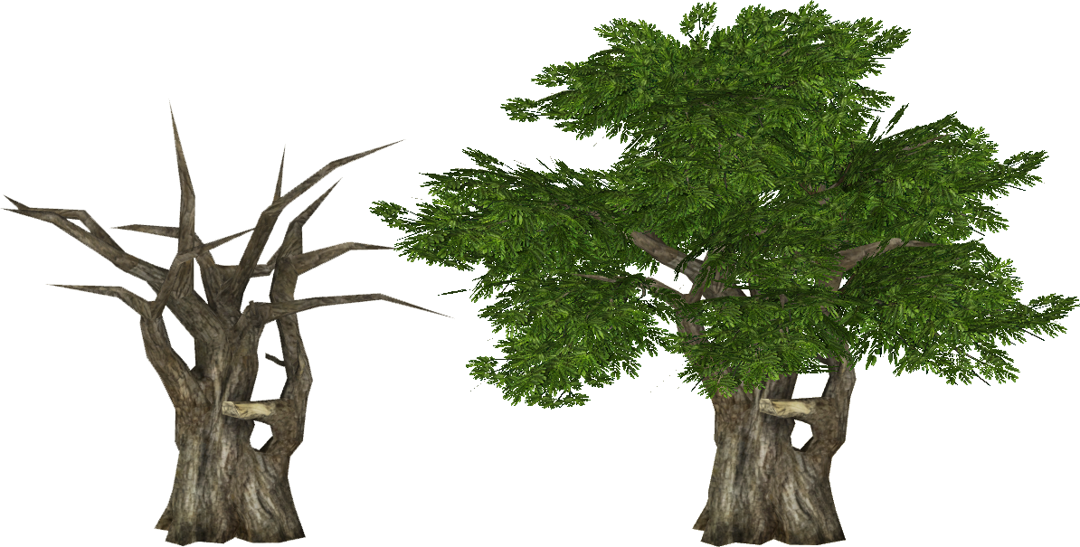 Raintree Slice - Raintree Slice (1194x605)