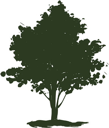 Dan's Tree Surgeon Llc - Illustration (388x465)